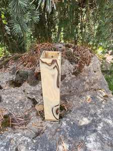 IMG 20250517 122033